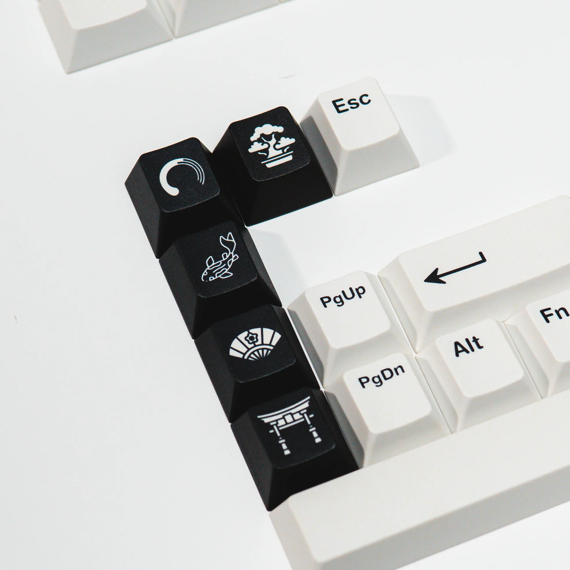 PPBT SHIRAKAWA ALT PBT Dye Sub Keycap Set Japanese Root - Image 10